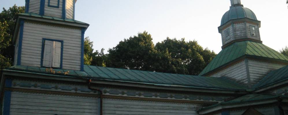 
            Фотография Репки