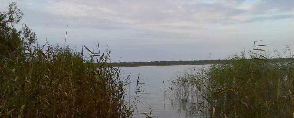 Фотография Матвеевского