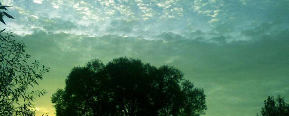 
            Фотография Жаворонково