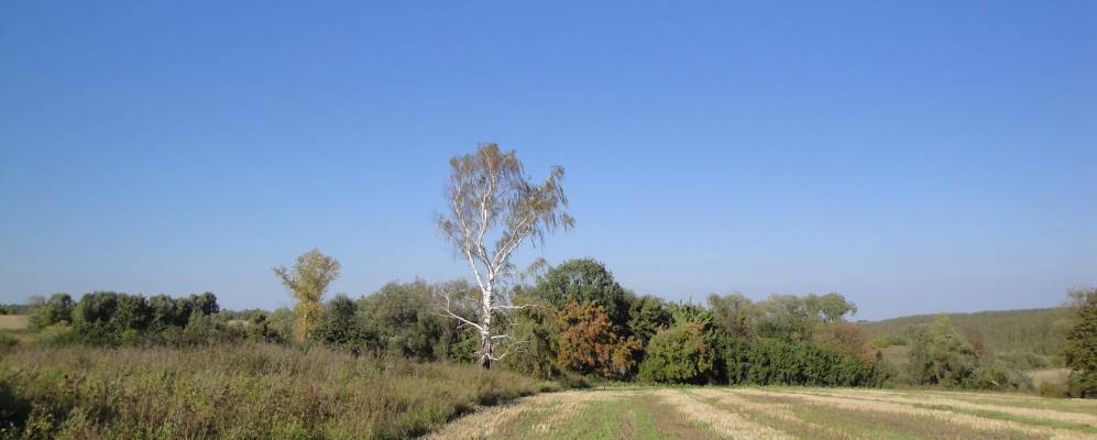 
            Фотография Яхонтово