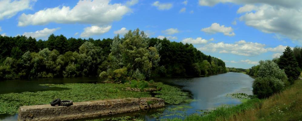 Фотография Урожайного