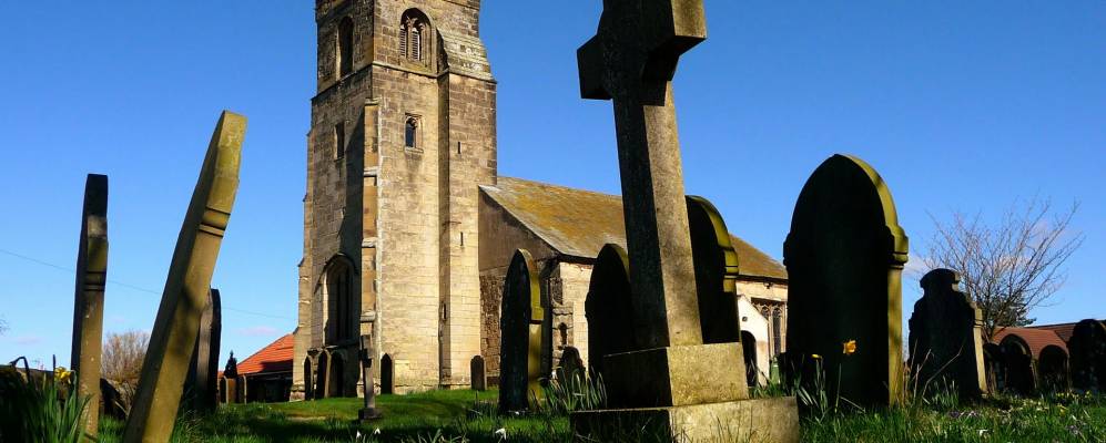 
            Фотография Вилберфосса