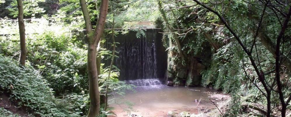 
            Фотография Лофтуса