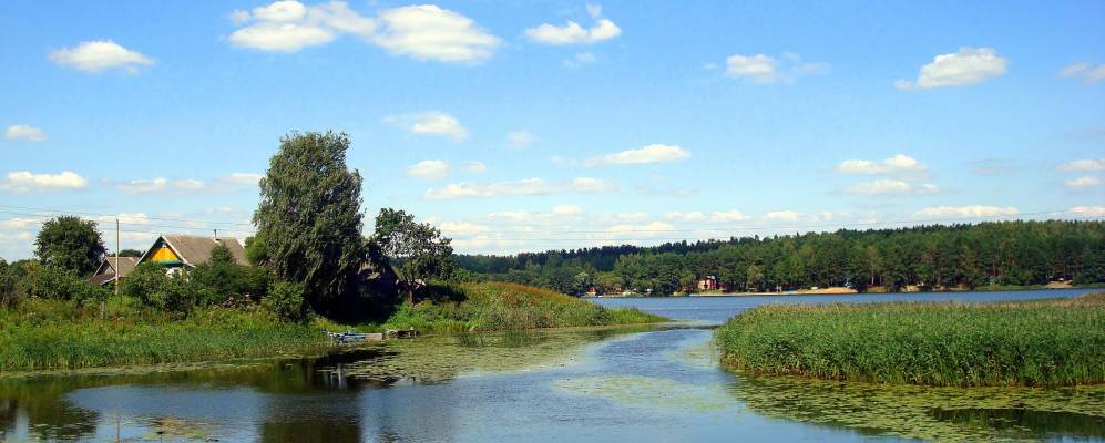 Фотография Туржеца-1