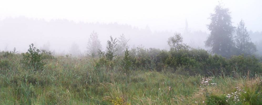 
            Фотография Сухино