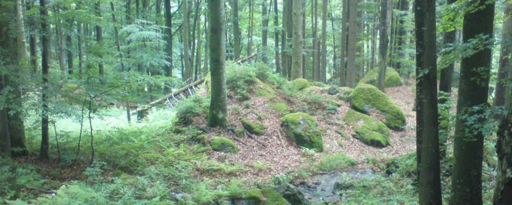 
            Фотография Бёбраха