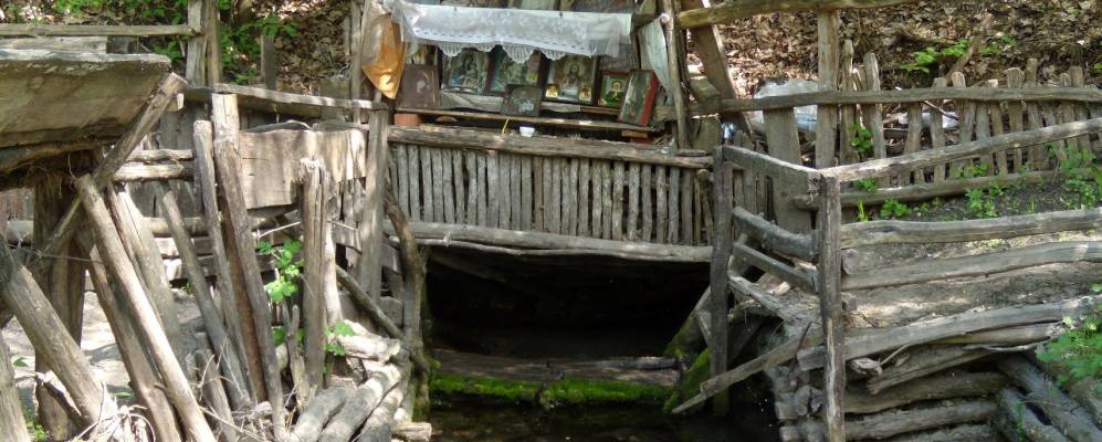 
            Фотография Шейно