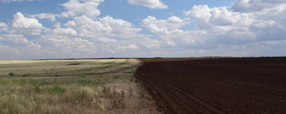 
            Фотография Перекопки