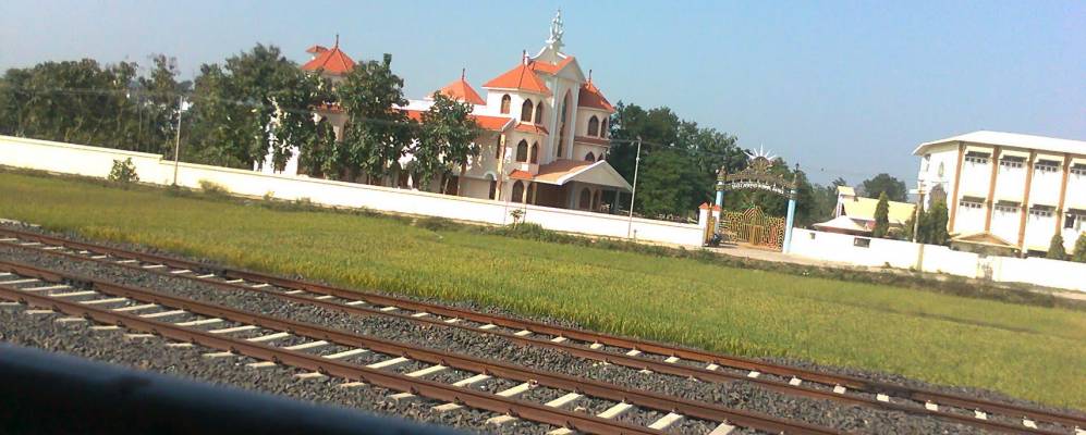 
            Фотография Банкы