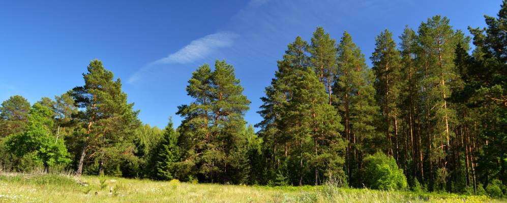 
            Фотография Нижней Юплани