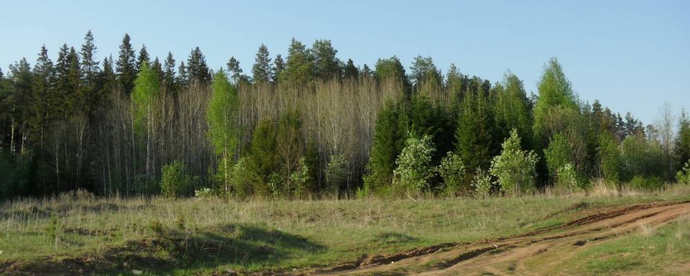 Фотография По Речке Ноля