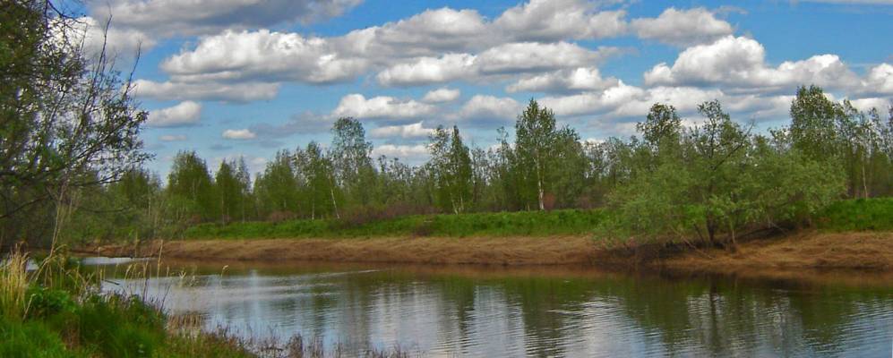 
            Фотография Трехустья-Кальджи