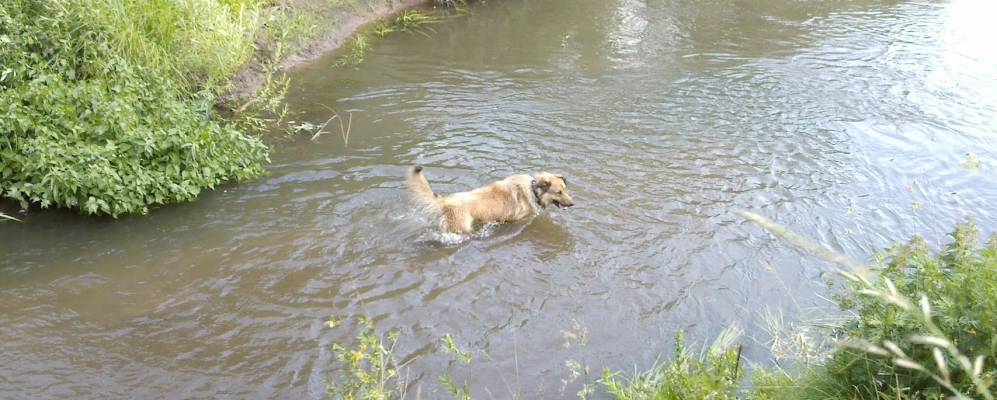 
            Фотография Киселево