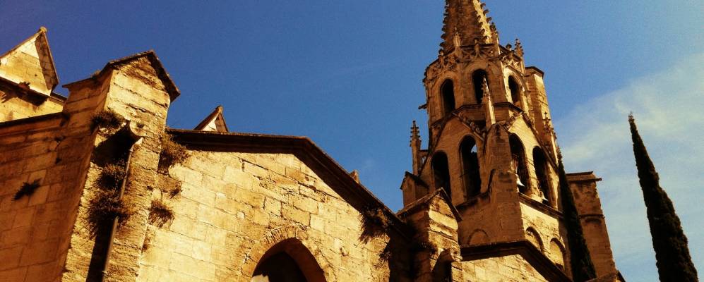 
            Фотография Соржю