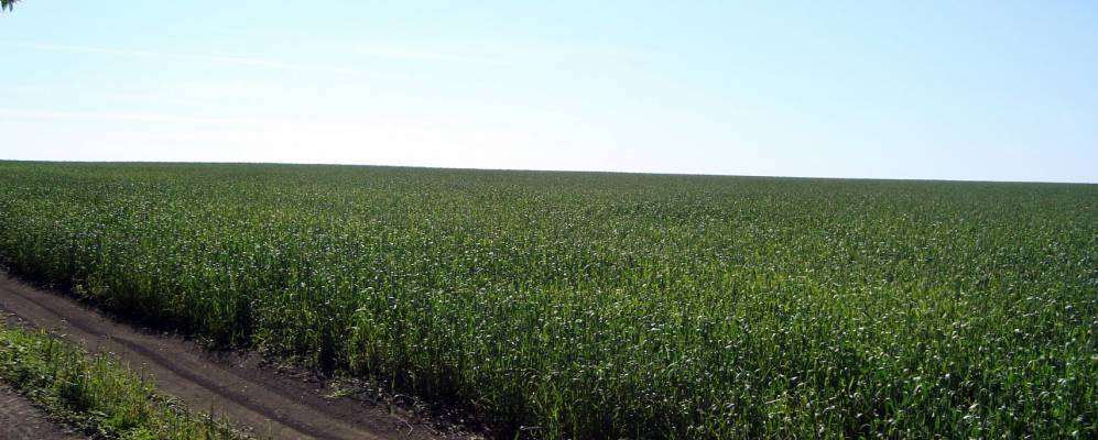 Фотография Ребриково