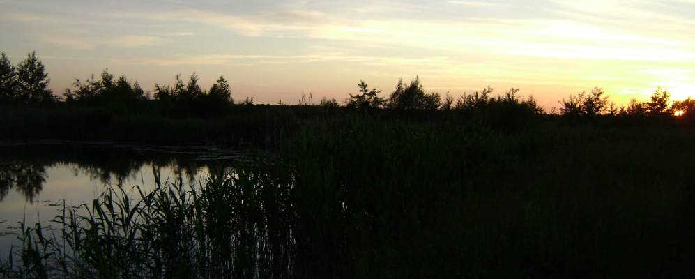 
            Фотография Маслово