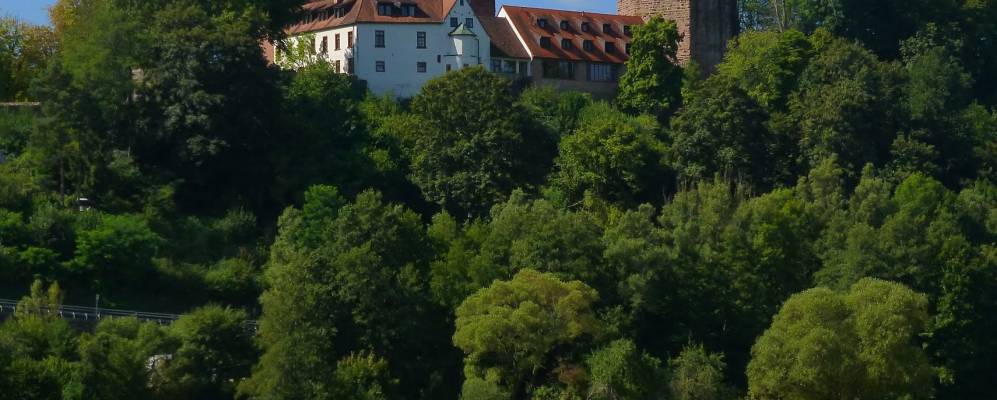 
            Фотография Ринека