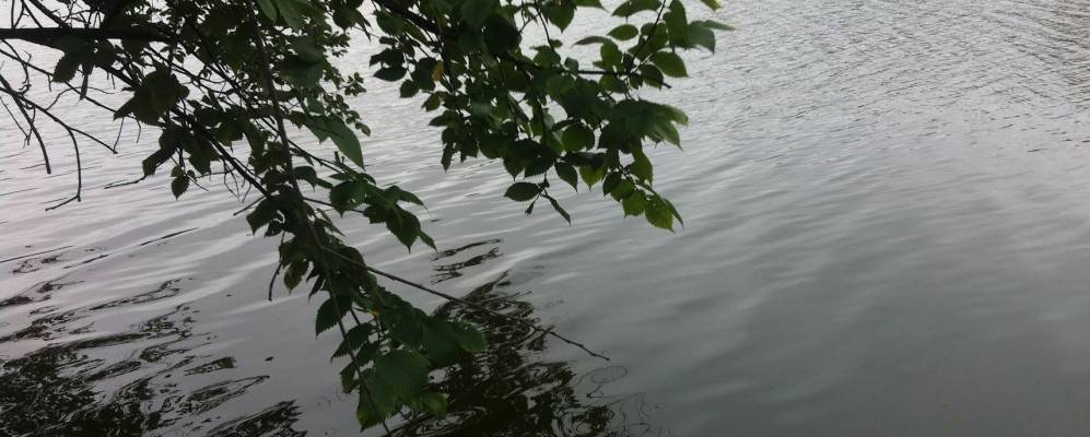 
            Фотография Баррингтон Хиллс