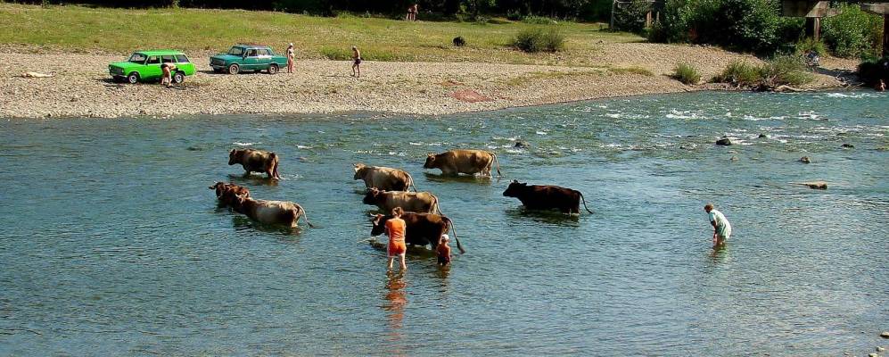 
            Фотография Заречного