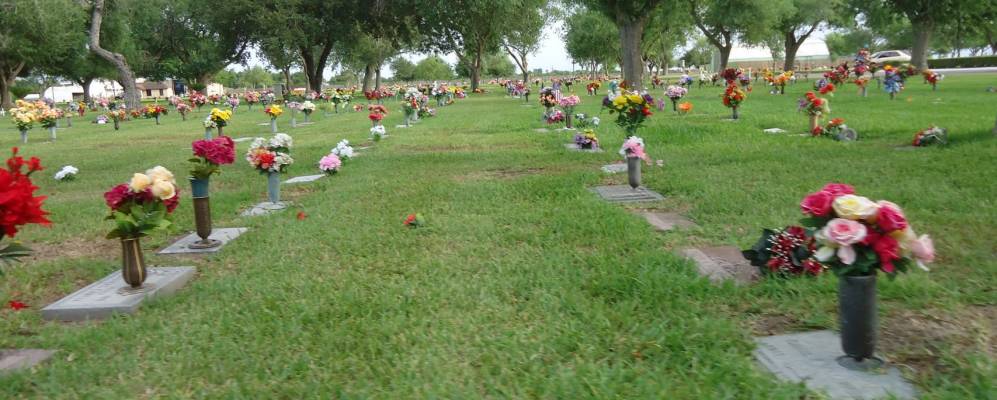 
            Фотография Оливейрза