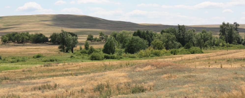 Фотография Максимовского