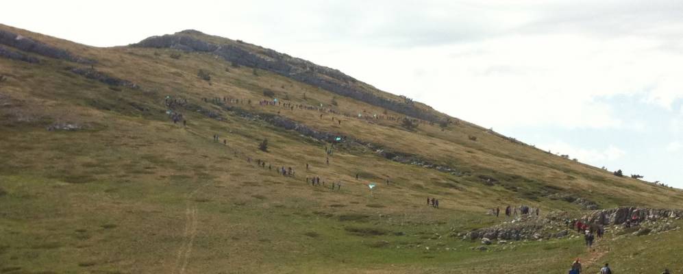 
            Фотография Рубиновки