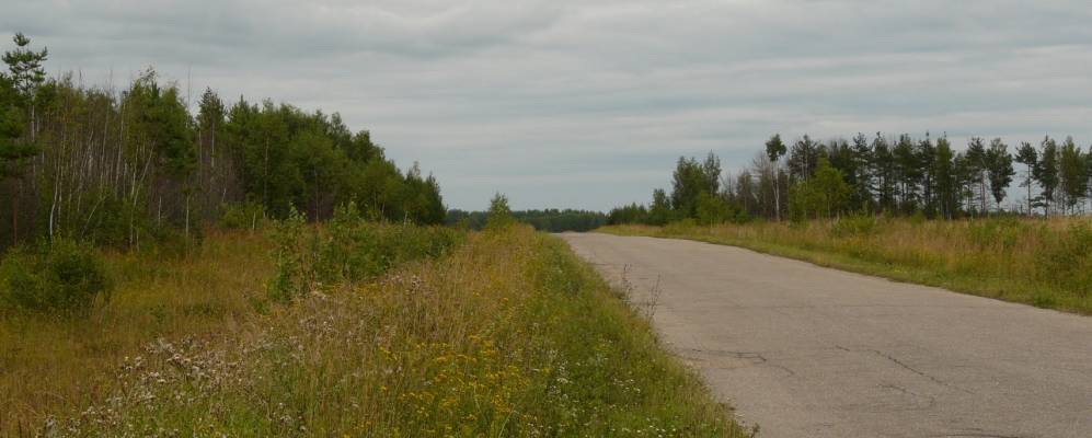 
            Фотография Осминино