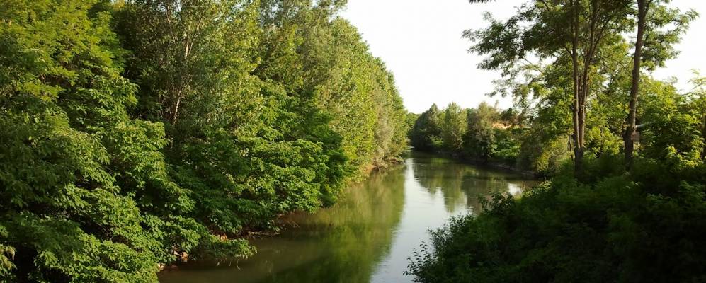 
            Фотография Лимены