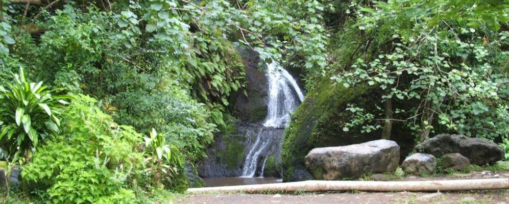 
            Фотография Ароранги