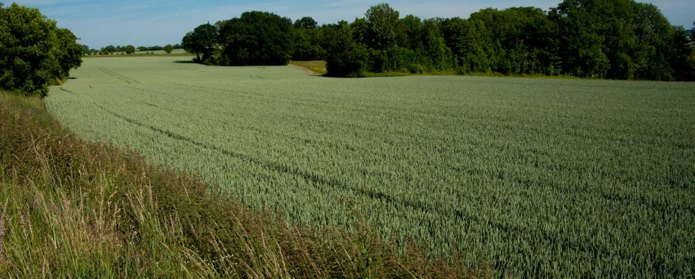 
            Фотография Крежи-ле-Мо