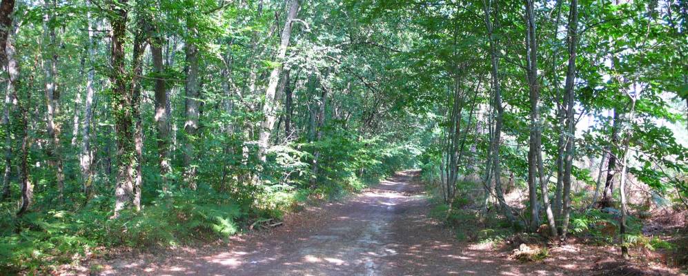 
            Фотография Кастр-Жиронда