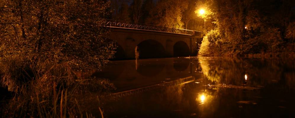 
            Фотография Шединьи