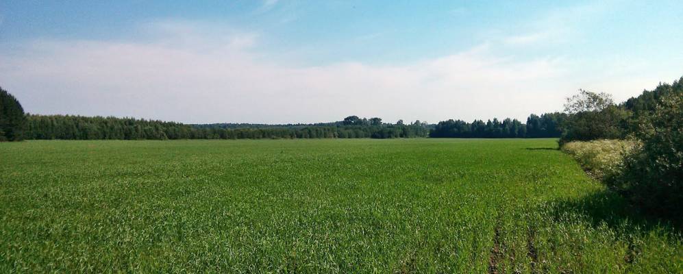 Фотография Большого Чураково