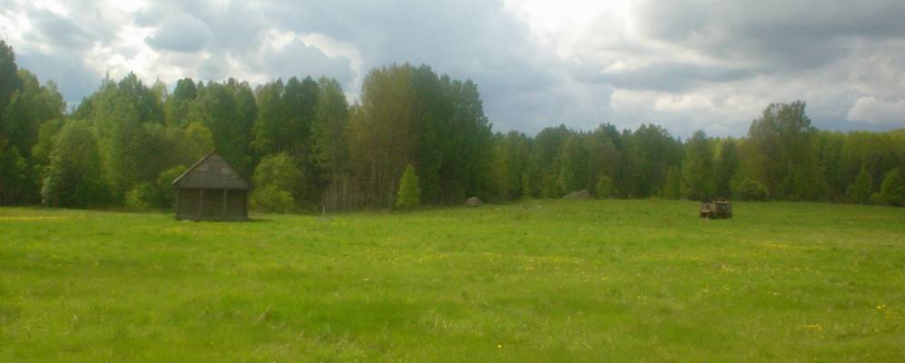 
            Фотография Петровского