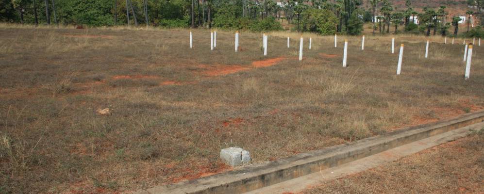 
            Фотография Бхиманипатнама