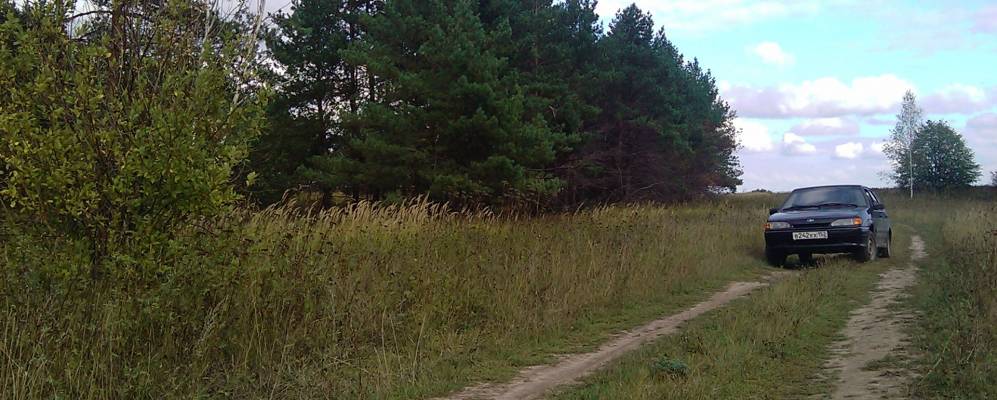 
            Фотография Никитинского