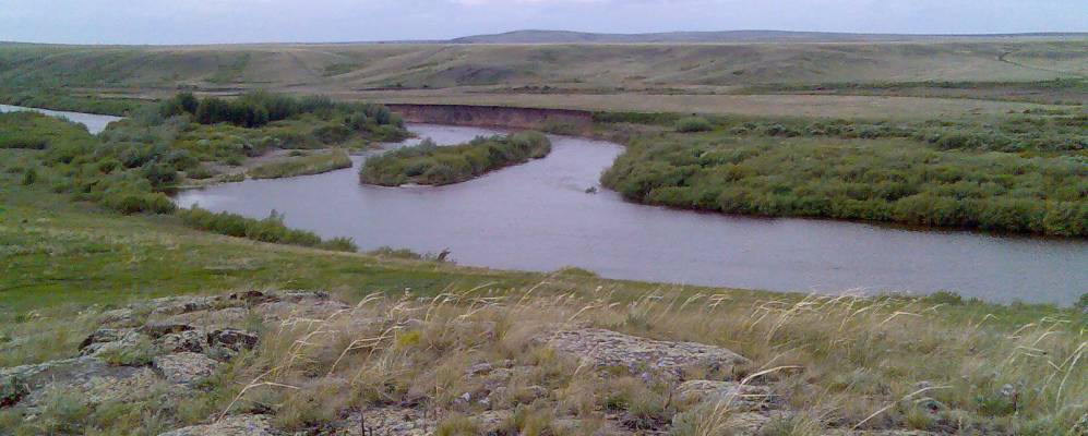 
            Фотография Березовки