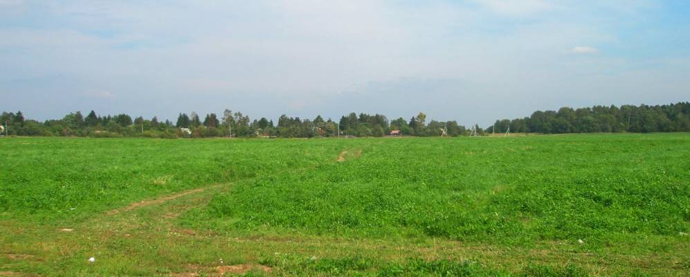 
            Фотография Золотилово