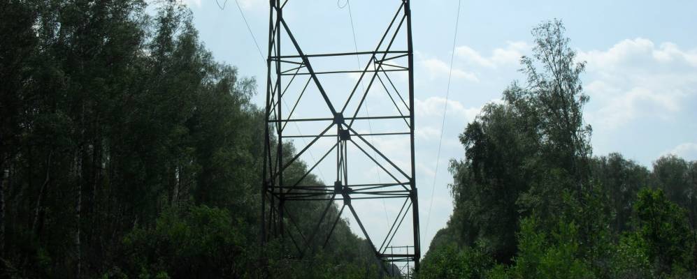 
            Фотография Стребково