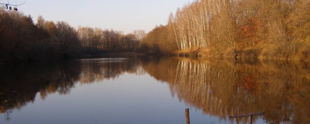 
            Фотография Бакши