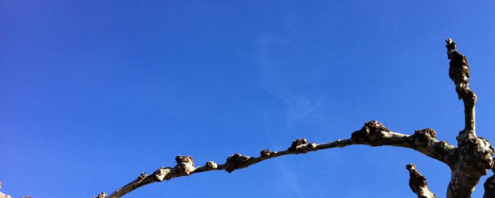 
            Фотография Санта-Мария-де-Палаутордера