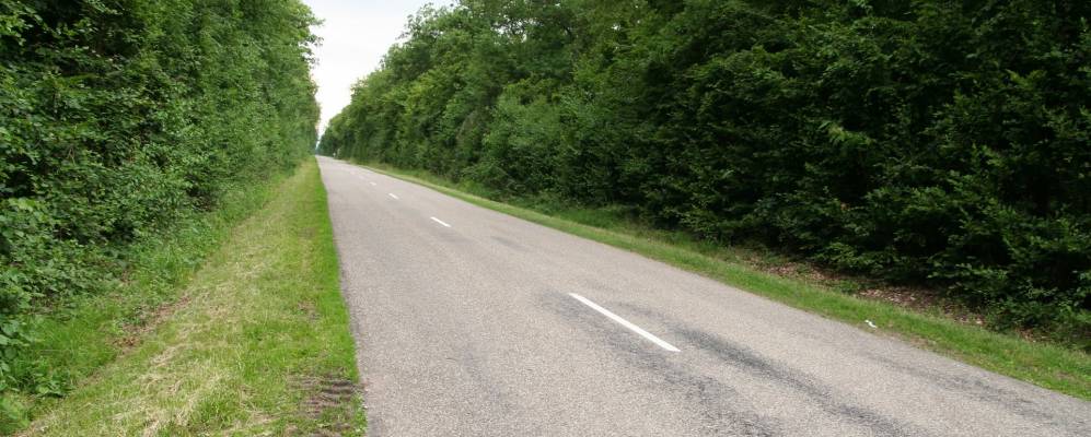 
            Фотография Бантзанхайма