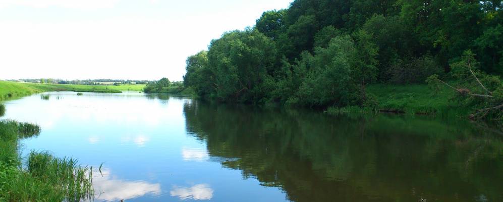 
            Фотография Прилипки