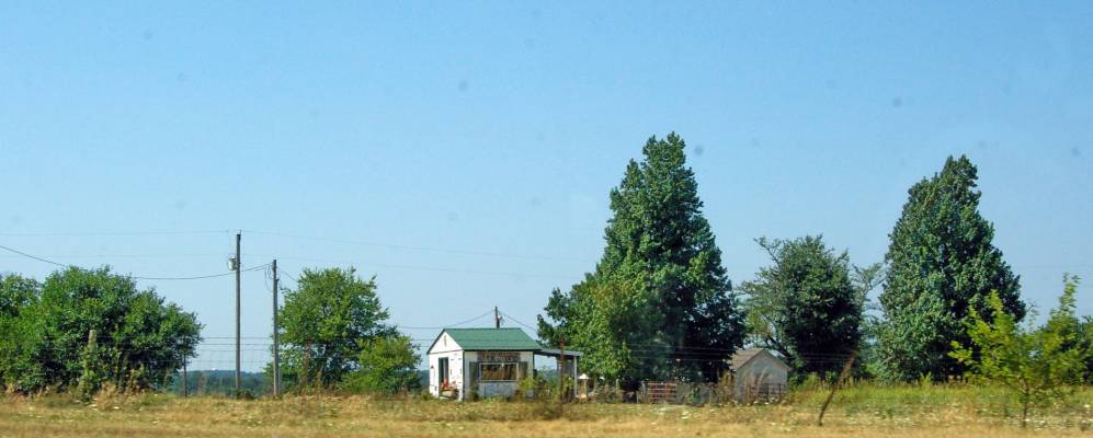 
            Фотография Уилларда