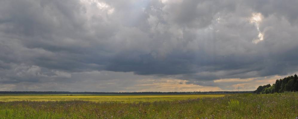 
            Фотография Витино