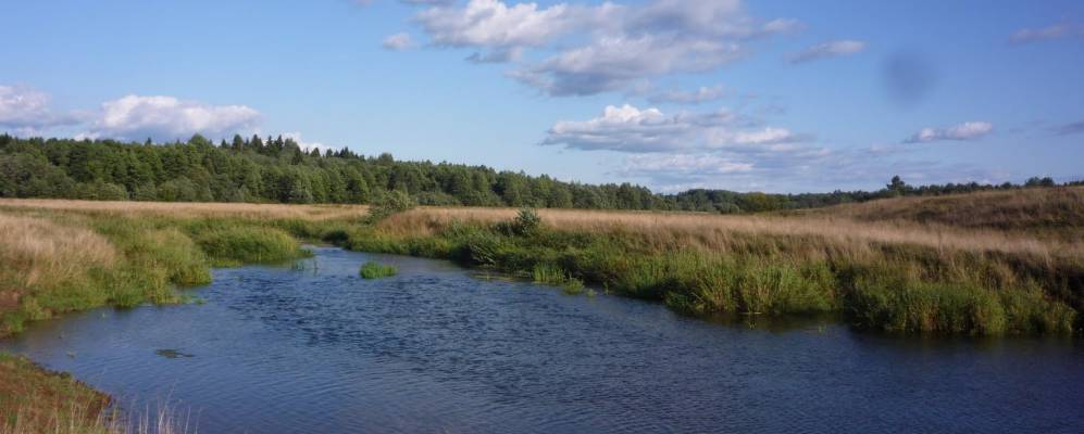 
            Фотография Михайловского