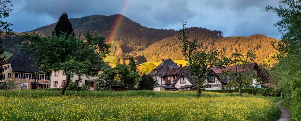 
            Фотография Зимонсвальда