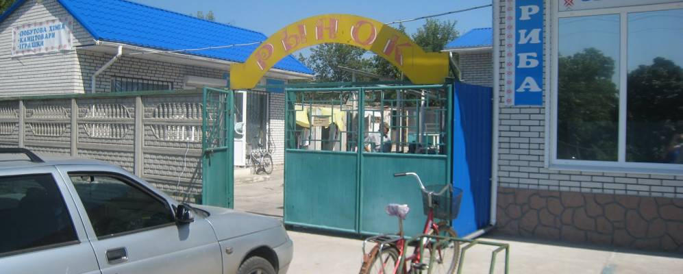 
            Фотография Полевого