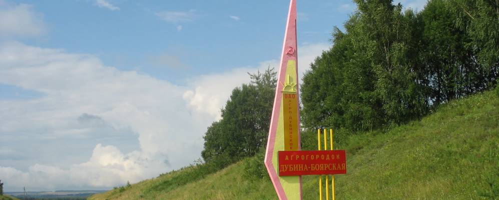 Фотография Реченяты