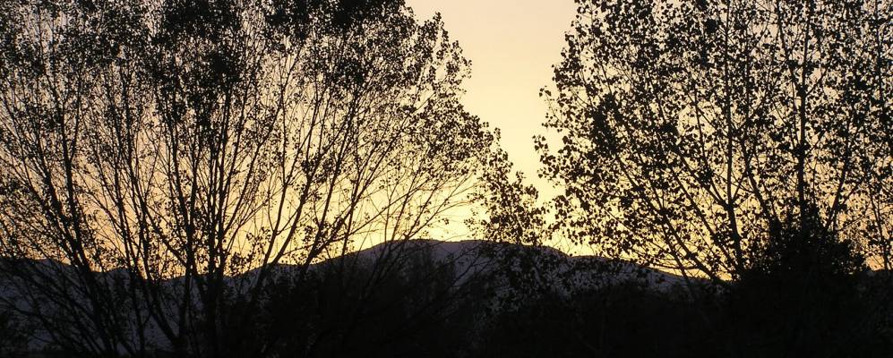 
            Фотография Тордера